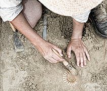 archaeology excavation