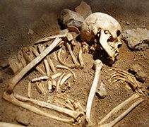 carbon dating human bones, skull