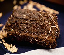 peat sample for carbon-14 dating