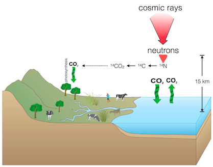 Radiocarbon diagram